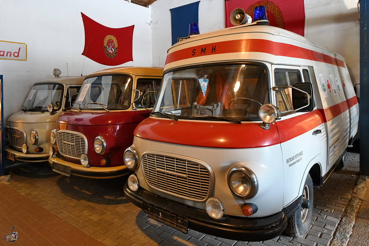 Drei Barkas B1000 Krankenwagen, ganz rechts das aktuellste Modell SMH 3 waren im August 2021 im DDR-Museum Dargen ausgestellt.