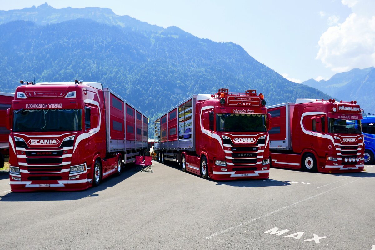 Drei Scania Tiertransporter von F�ssler am 27.6.26 beim Trucker Festival in Interlaken.