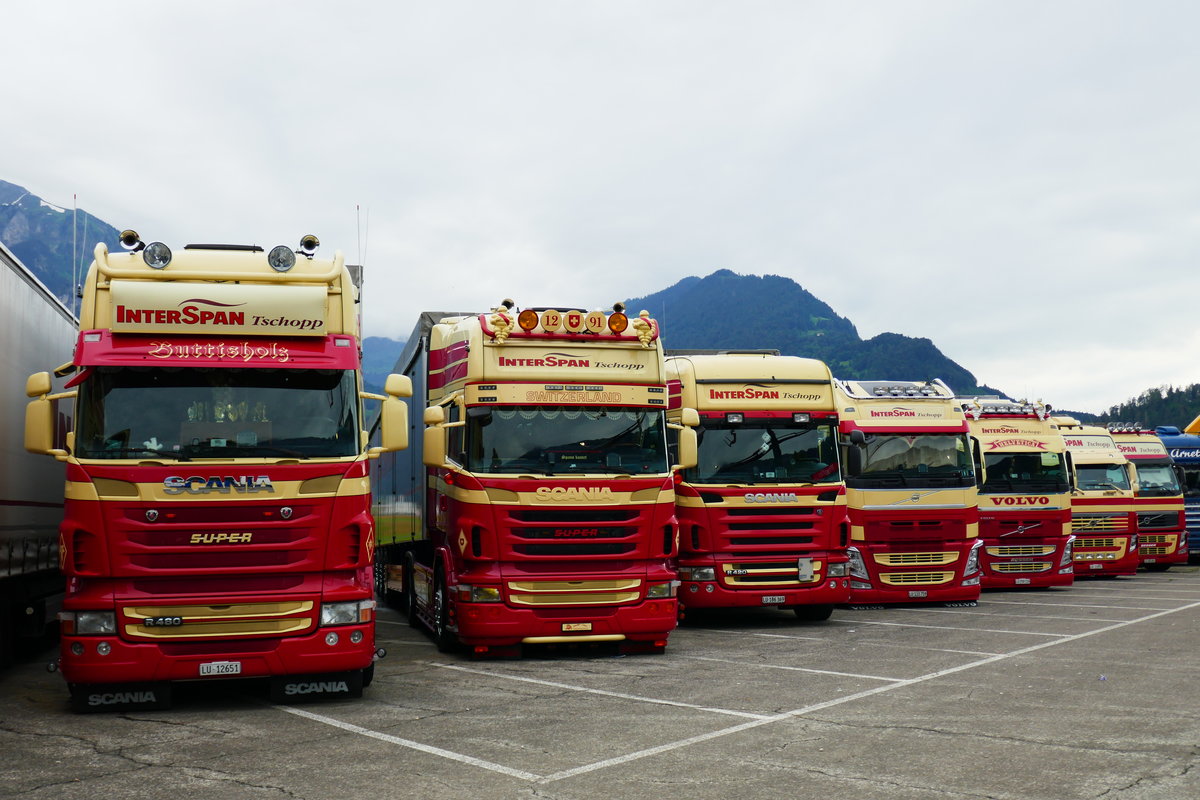 Drei Scania und vier Volvo von Interspan Tschopp am 26.16 beim Trucker Festival Interlaken.