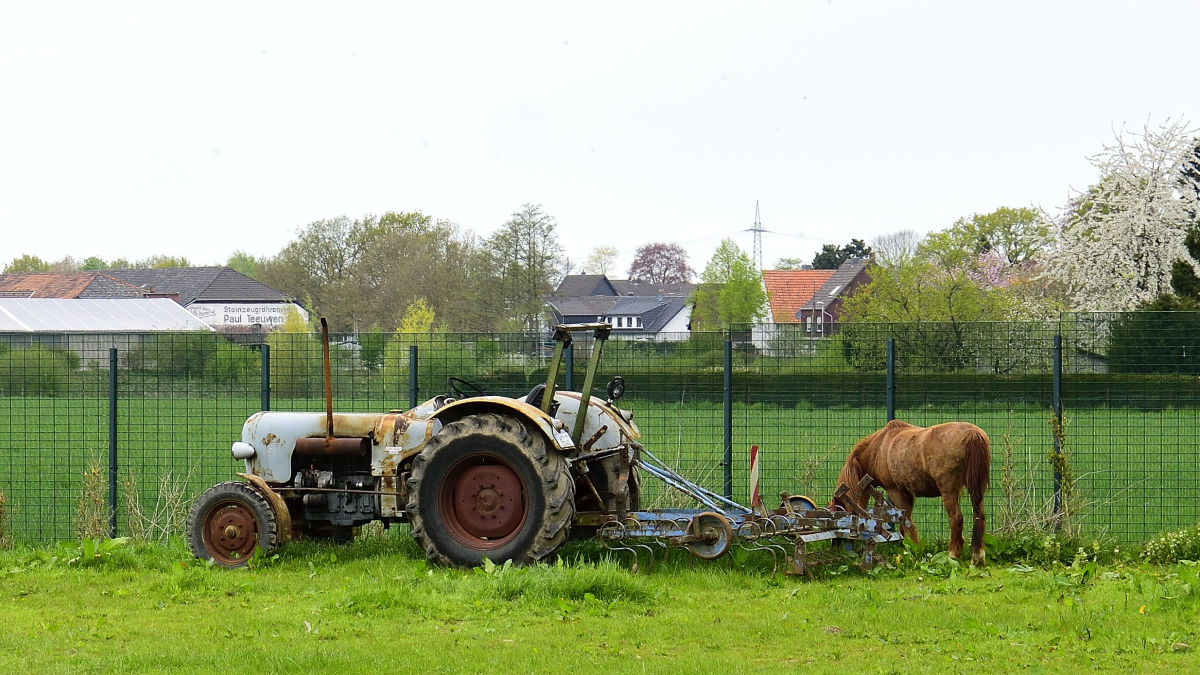 
Eicher Tracktor abgestellt auf einer Weide in Gillrath/ Geilenkirchen 21.4.2022