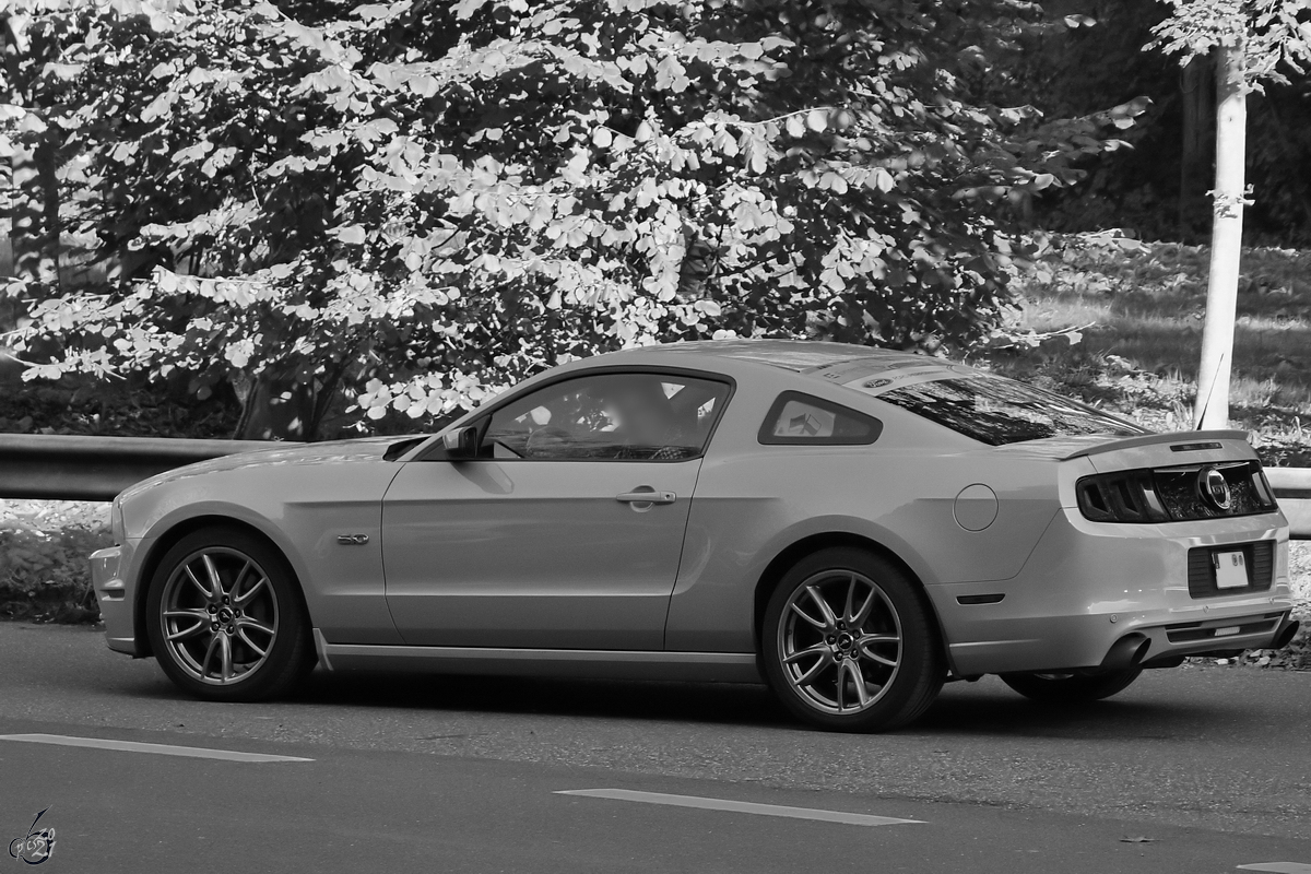 Ein Ford Mustang GT 5.0 bei einer Ausfahrt in der Vulkaneifel. (Bad Tönisstein, Oktober 2021)