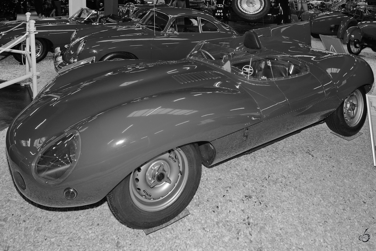 Ein Jaguar D-Type von 1954 war Anfang Dezember 2014 im Auto- und Technikmuseum Sinsheim ausgestellt.