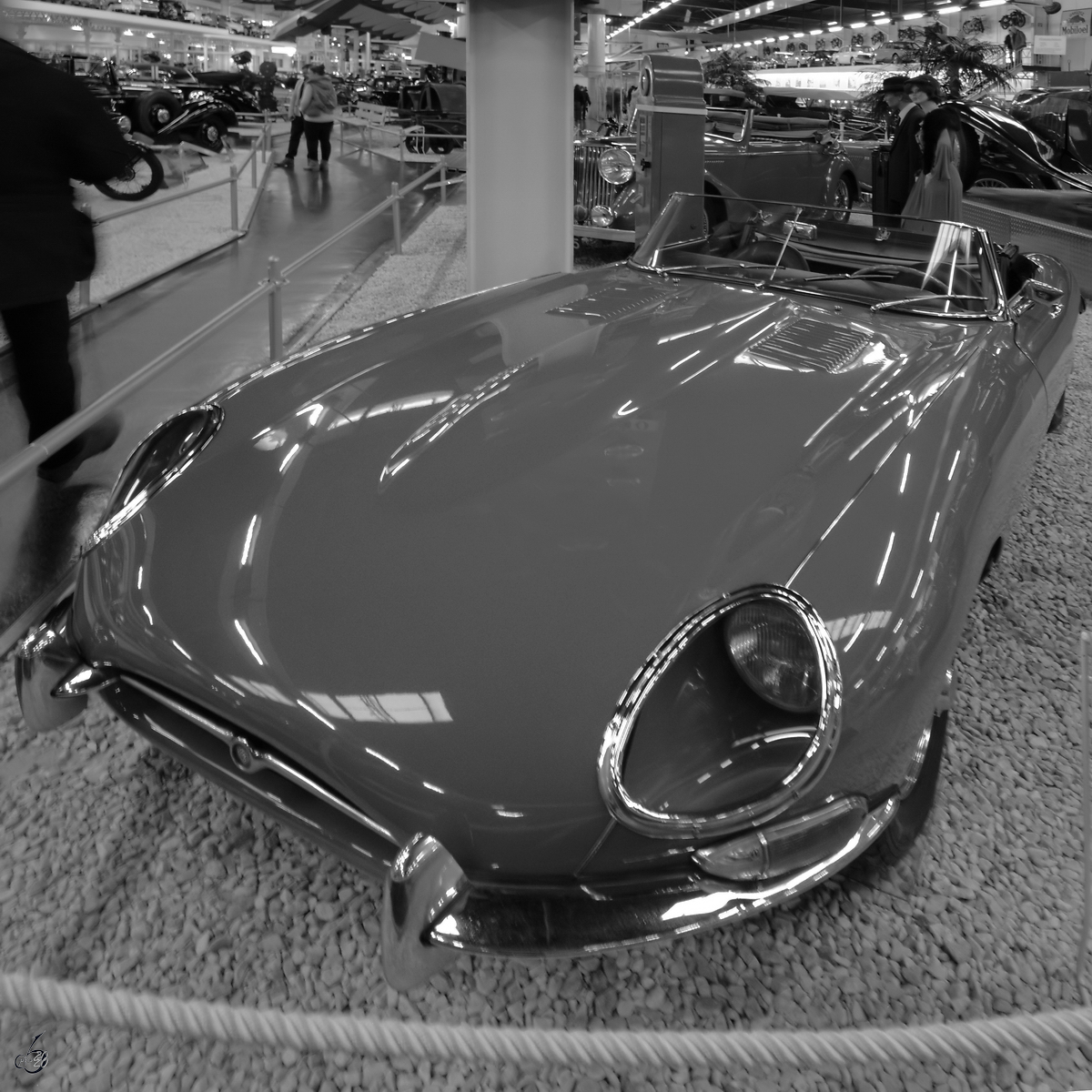 Ein Jaguar E-Roadster aus dem Jahr 1963. (Auto- und Technikmuseum Sinsheim, Dezember 2014)