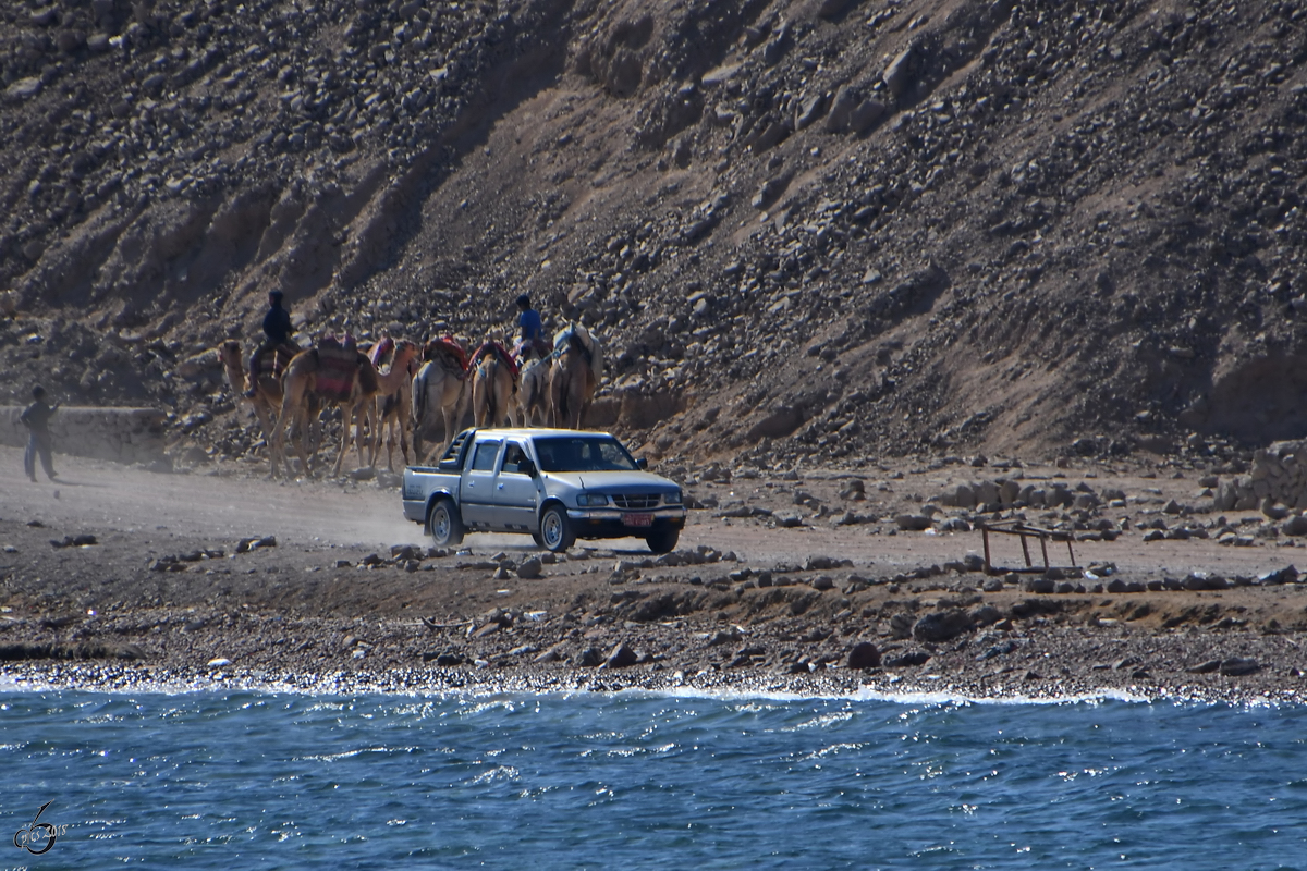 Ein Pick Up von Isuzu Mitte Dezember 2018 auf der Sinai-Halbinsel.