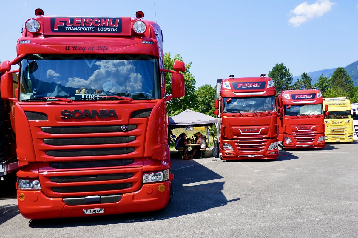 Ein Scania und zwei DAF von Fleischli am 27.6.26 beim Trucker Festival Interlaken.