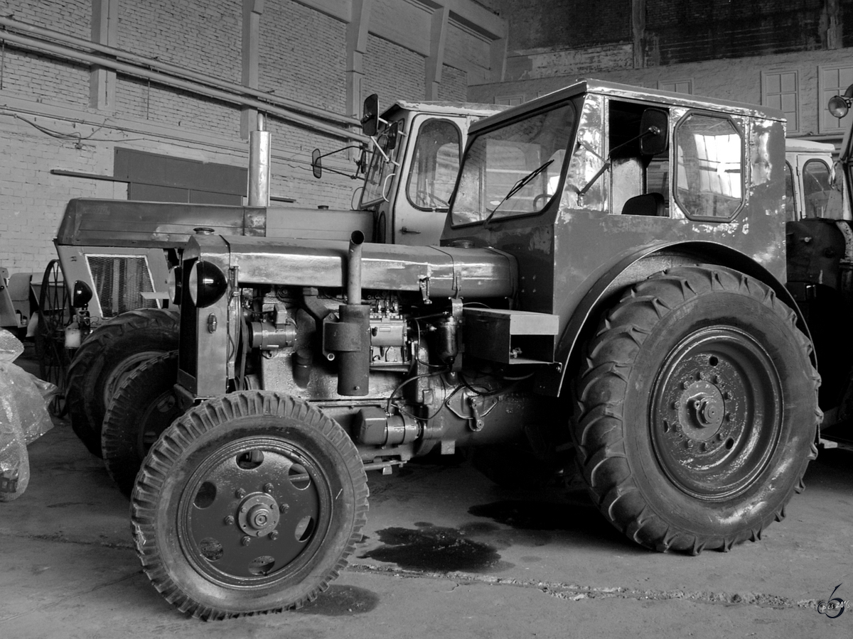 Ein Traktor IFA RS01 Pionier im Technik Museum Pütnitz. (August 2006)