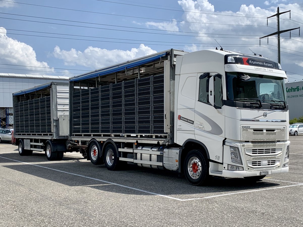 Ein Volvo Tiertransporter von Krummen kerzers am 10.7.20 in Kerzers.