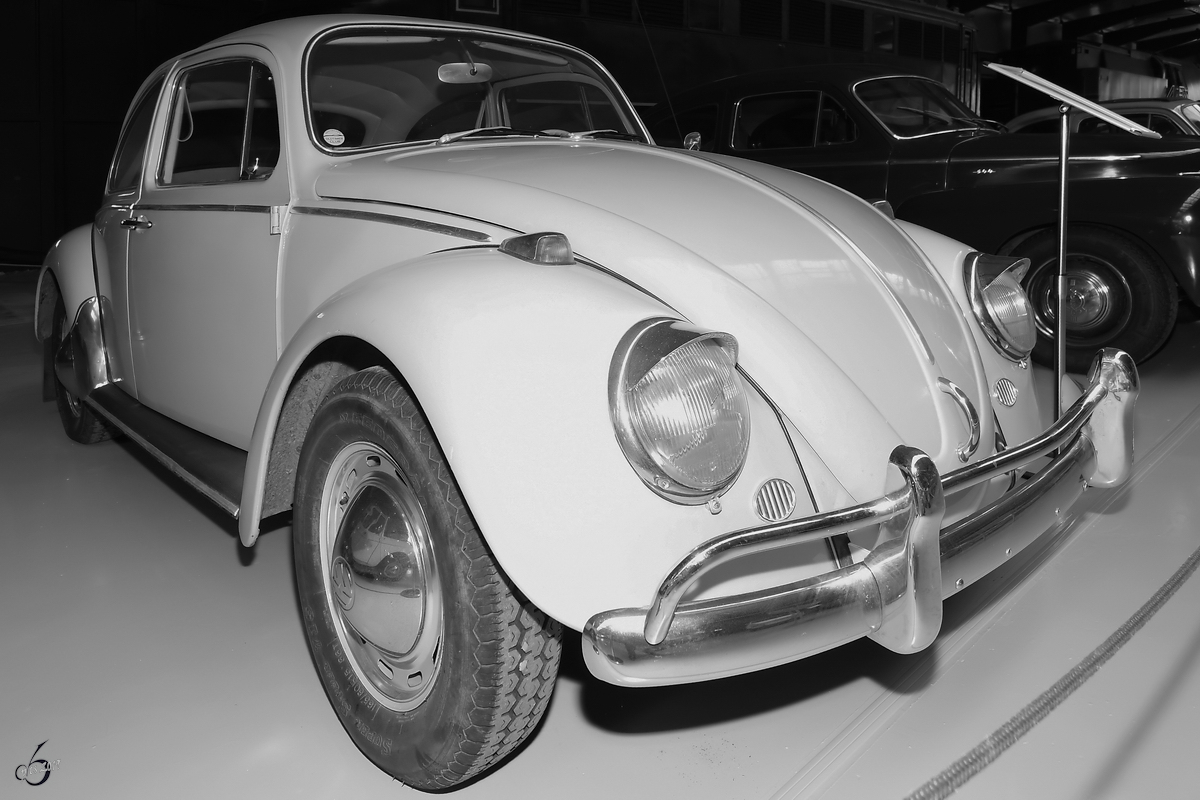 Ein VW Käfer Anfang April 2019 im Oldtimermuseum Prora.