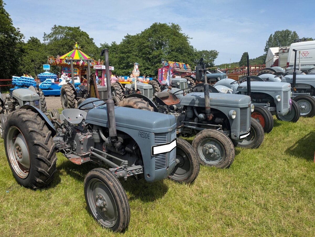 Eine ganze Reihe des britischen  Volkstraktors  Massey Ferguson TE20. Der Massey Ferguson TE20, h�ufig auch nur Ferguson T20 genannt, ist einer der bekanntesten und historisch bedeutendsten Traktoren der Welt. Spitzname des von 1946 bis 1956 in Coventry (England) gebauten Schleppers ist  Little Grey Fergie“. Er revolutionierte die Landwirtschaft weltweit durch die Einf�hrung der modernen Dreipunkthydraulik. Entwickelt von Harry Ferguson, verband das hydraulische Dreipunktsystem den Traktor und das Anbauger�t zu einer mechanischen Einheit. Es verhinderte das gef�hrliche Aufb�umen des Traktors und wurde zum weltweiten Industriestandard. Mit �ber 517.000 gebauten Exemplaren (inklusive aller Varianten) machte der TE20 die Mechanisierung f�r Kleinbetriebe erschwinglich. F�r das Modell gab es, w�hrend der Produktionszeit von 1946 bis 1956, verschiedene Motorisierungen. Abergavenny Steam and Vintage Show am 27.05.2023.