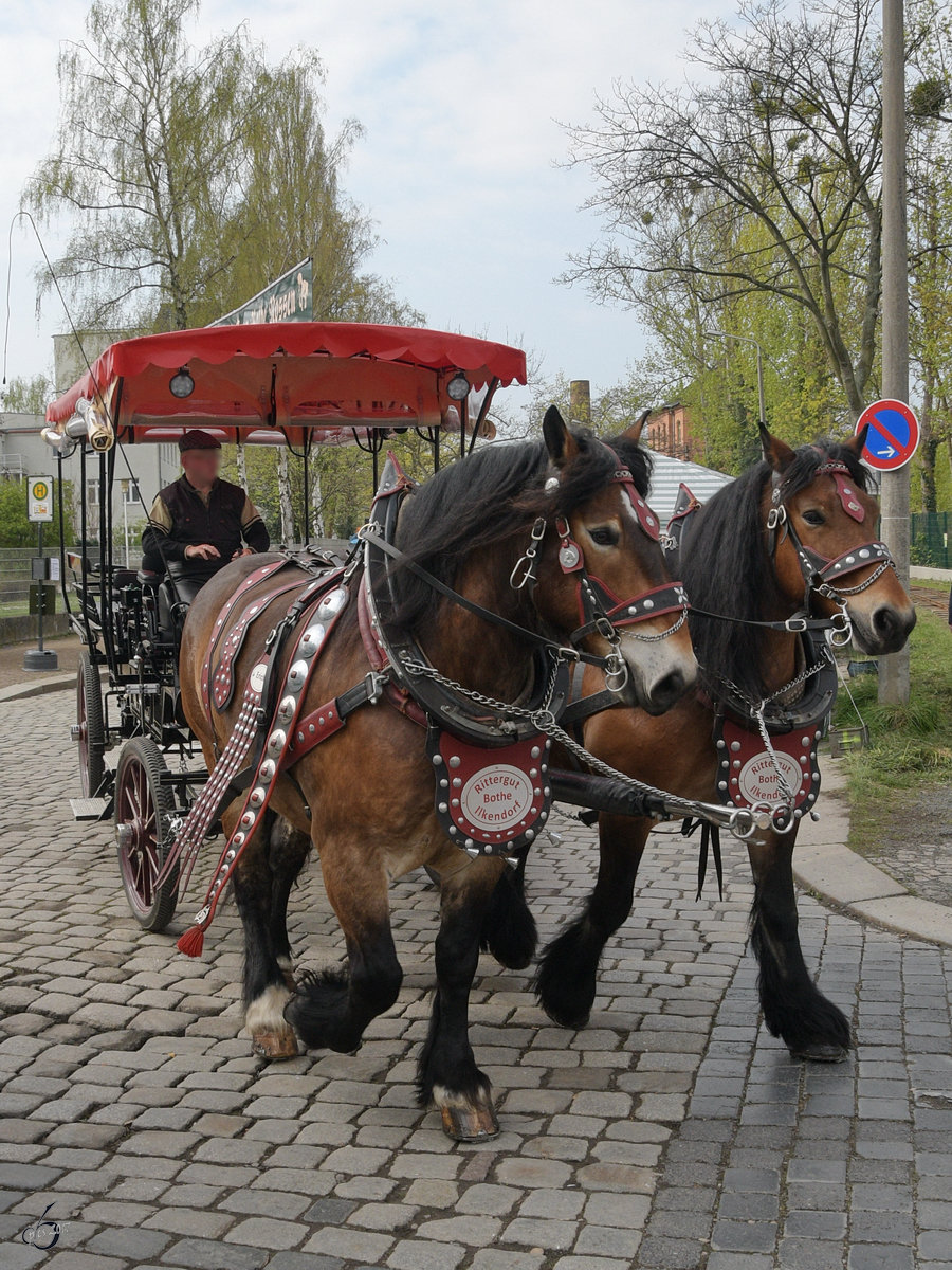 Eine Pferde-Droschke im April 2017 in Dresden.
