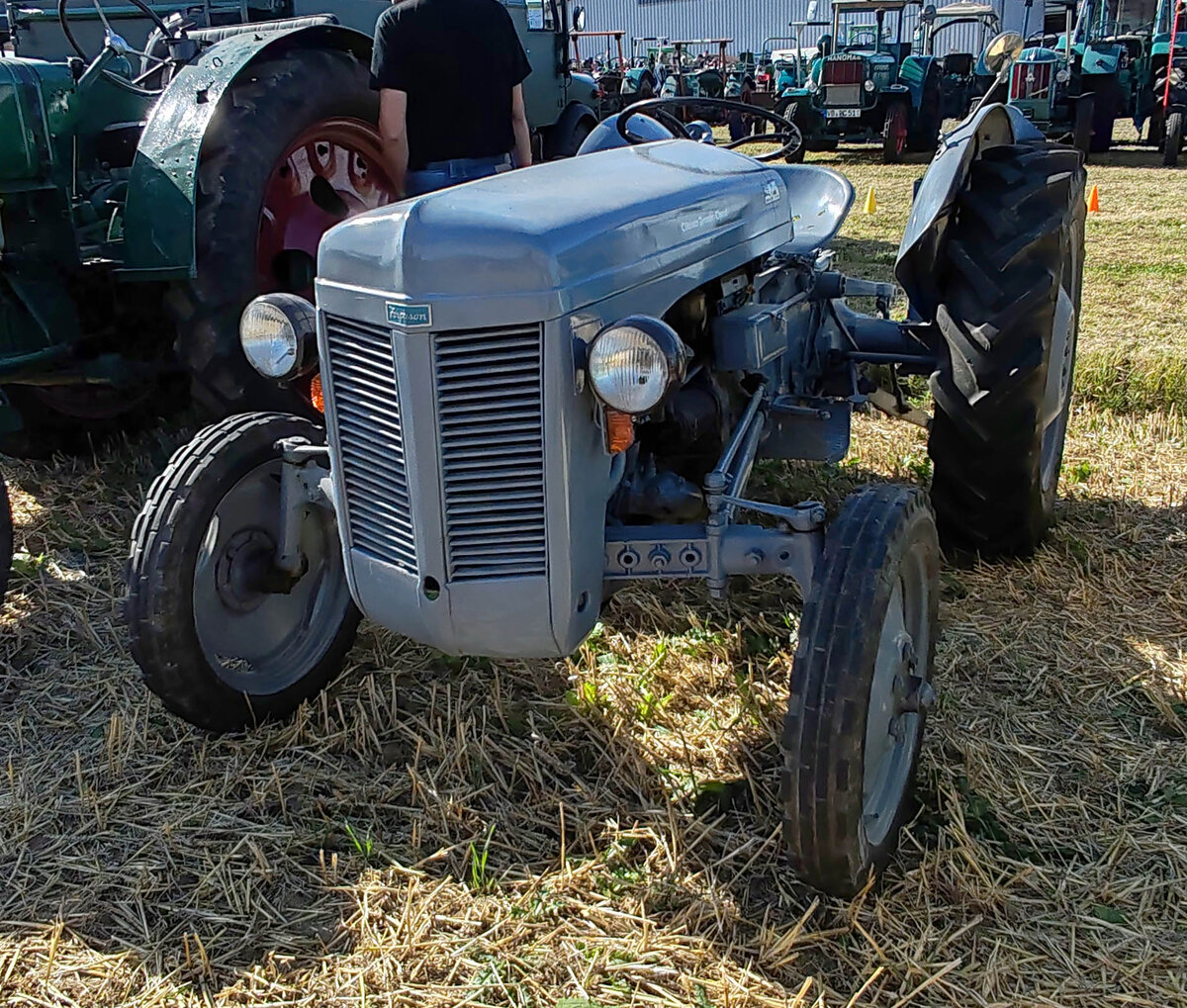 =Ferguson, gesehen bei der Oldtimerausstellung der OLDTIMERFREUNDE OHMTAL in Dannenrod, 09-2025