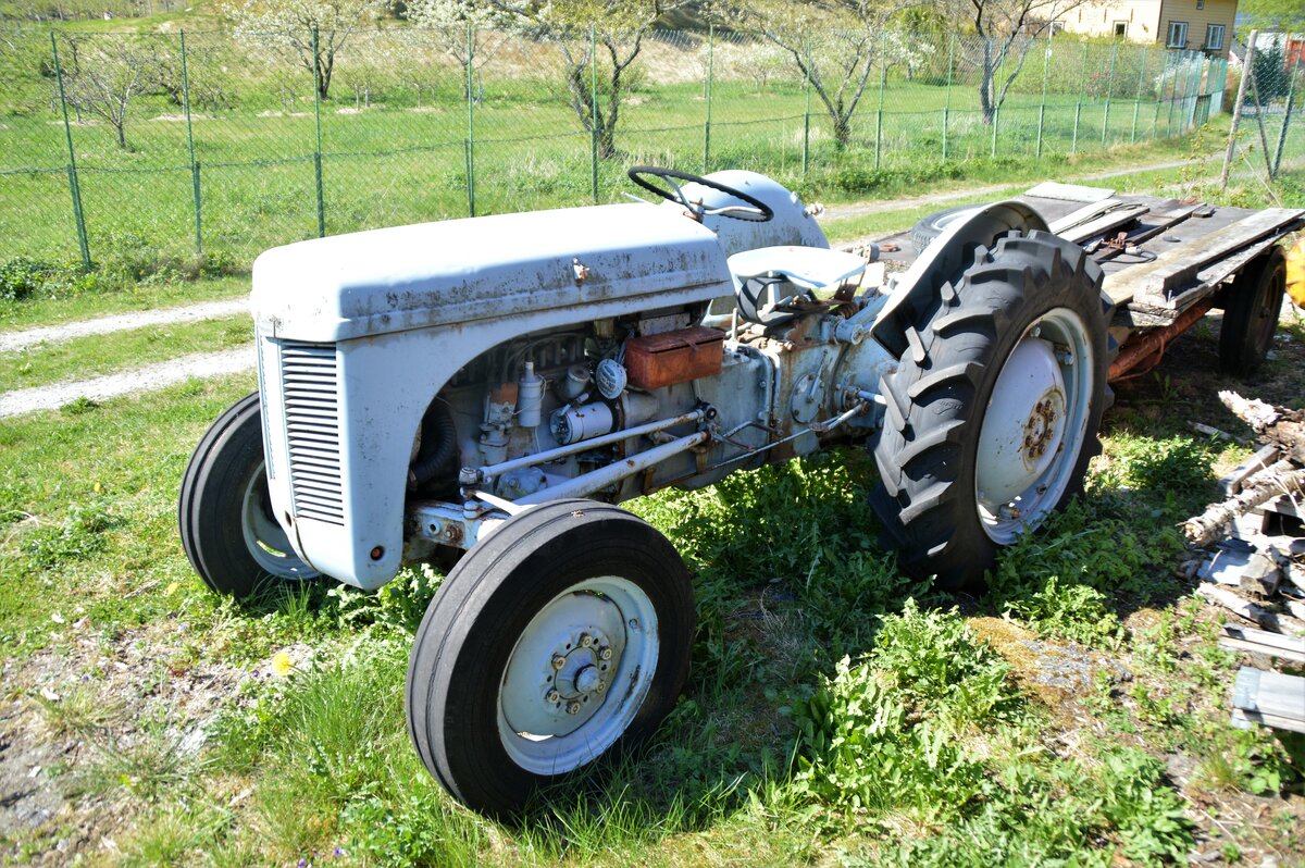 Ferguson Traktor mit Anhänger am 12.05.2023 in Eidfjord (Norwegen)