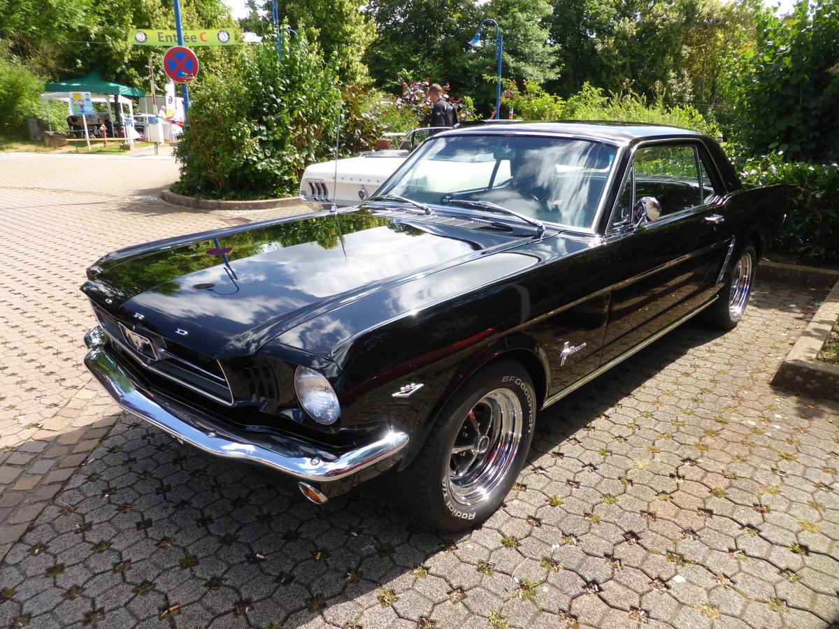 Ford Mustang (Baujahr 1965), Vintage Cars & Bikes in Steinfort am 06.08.2016