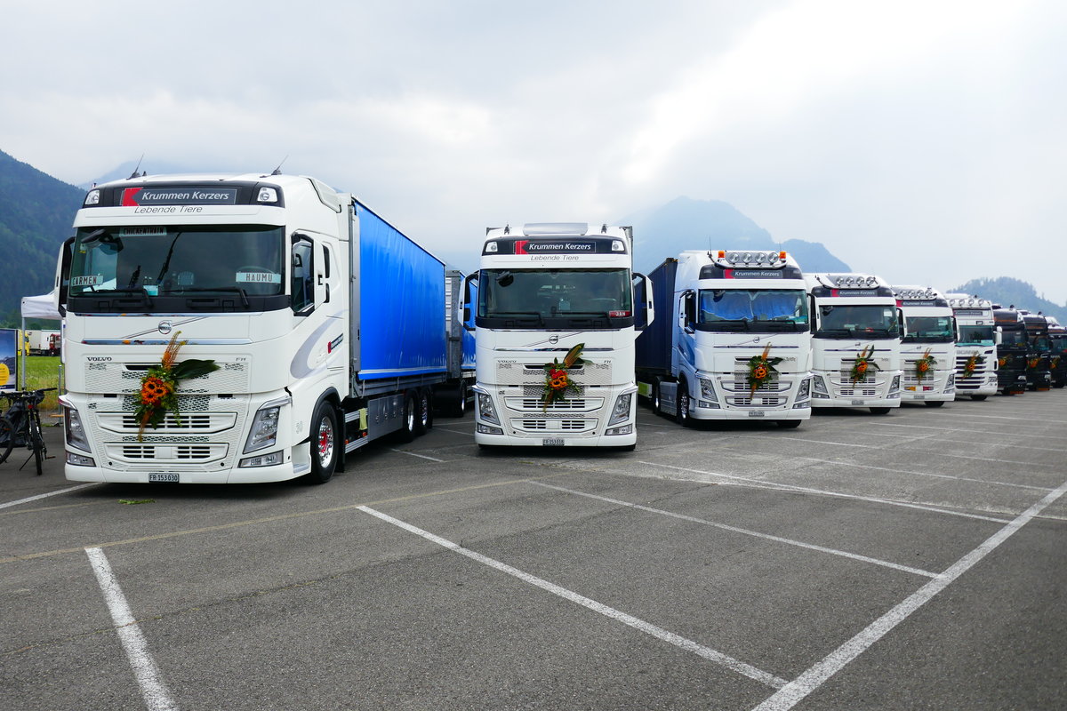 Fünf Volvo und ein Scania von Krummen Kerzers am 24.6.17 am Trucker Festival in Interlaken.