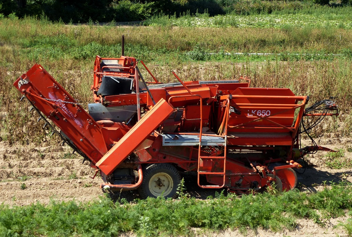 Grimme LK650, zapfwellenbetriebene Kartoffelvollerntemaschine, Aug.2015