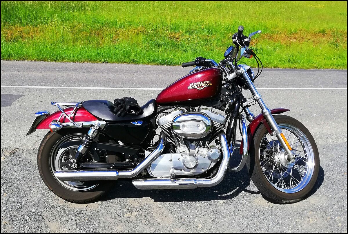 Harley Davidson Sportster am Kladno am 2.6.2019.