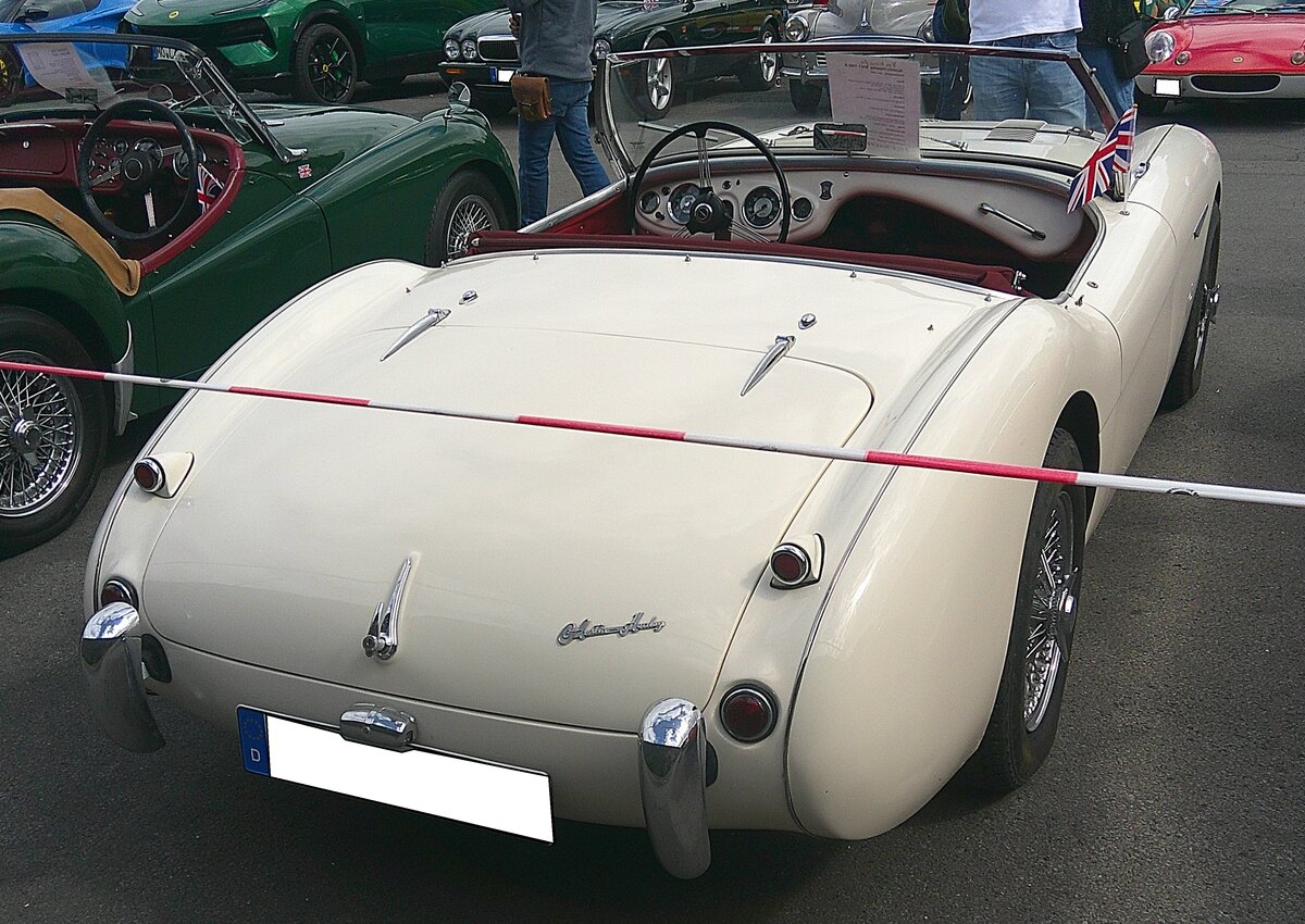 Heckansicht eines Austin Healey 100/4 BN 1 im Farbton old english white aus dem Jahr 1955. 10. BCMM ( B ritish C ar M otorcycle M eeting) am 19.07.2026 an Mo´s Bikertreff in Krefeld.