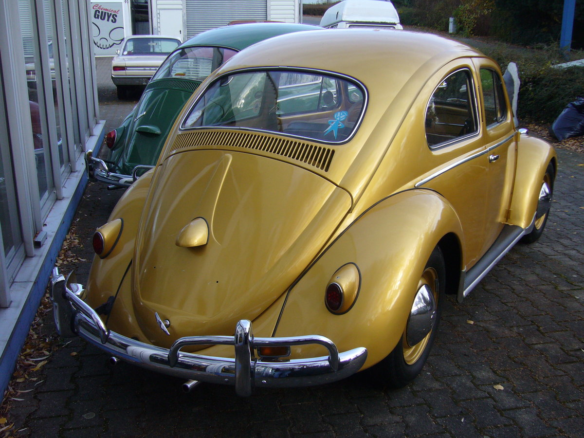 Heckansicht eines VW Typ 1  Käfer  mit Exportstoßstangen aus dem Jahr 1957. Essen-Kettwig am 15.11.2020.