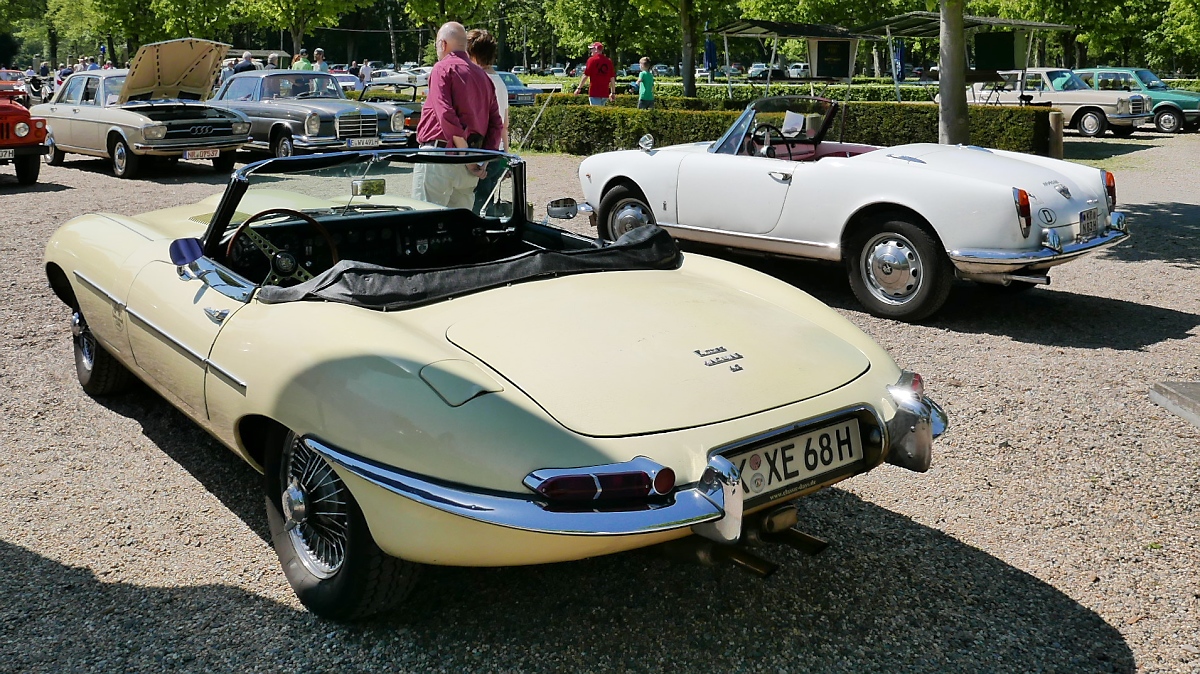Jaguar E-Type auf dem Oldtimer-Treffen an der Rennbahn in Krefeld, 8.5.16