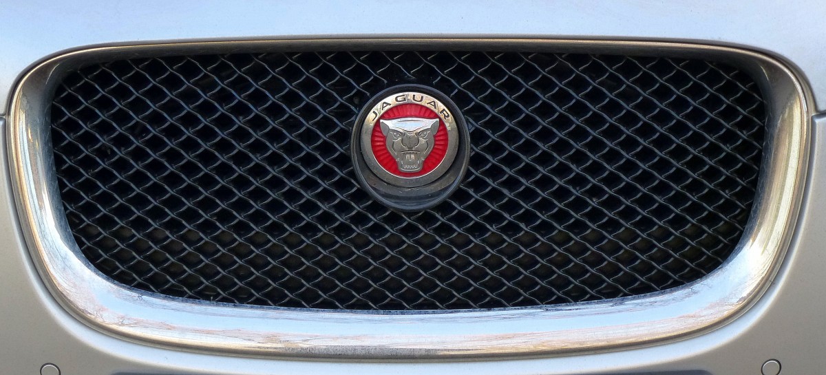 Jaguar, Khler mit Emblem an einer Limousine  XF , Dez.2013