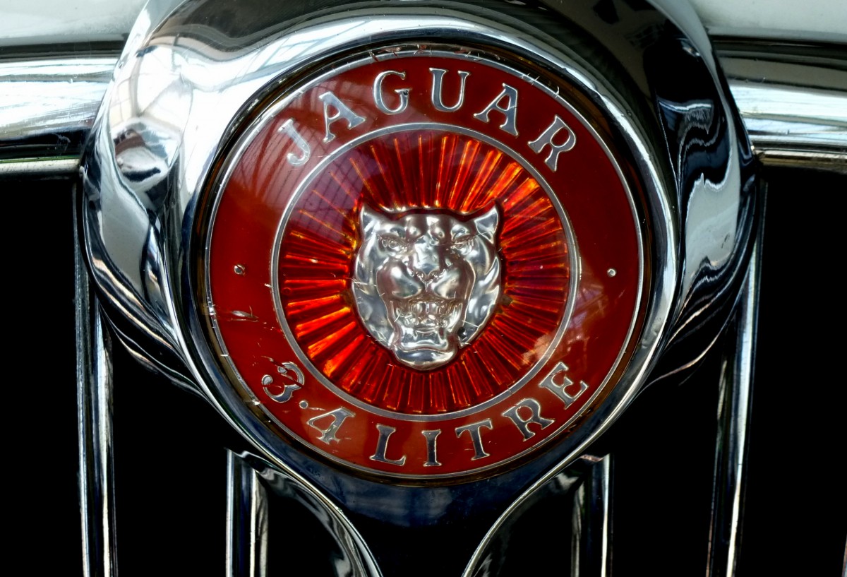 Jaguar, Khleremblem an einer Limusine Baujahr 1967, Aug.2013