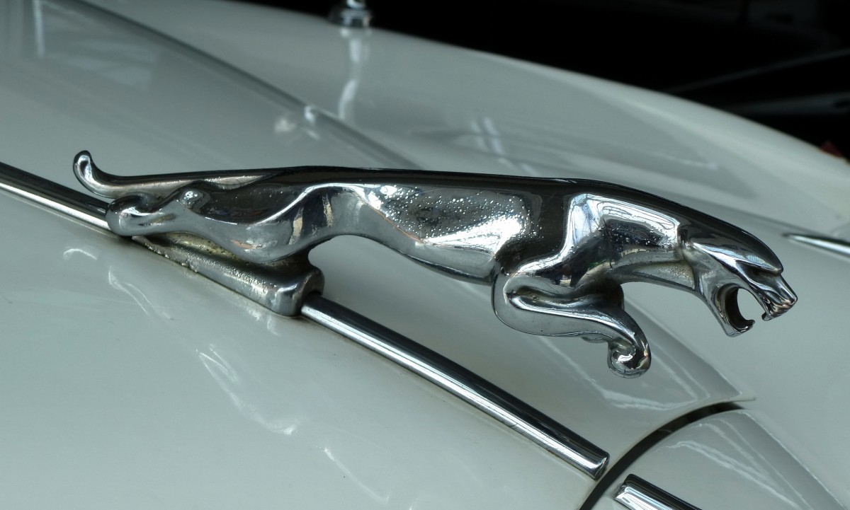 Jaguar, die springende Raubkatze als Khlerfigur auf einer Limosine Baujahr 1967, Aug.2013