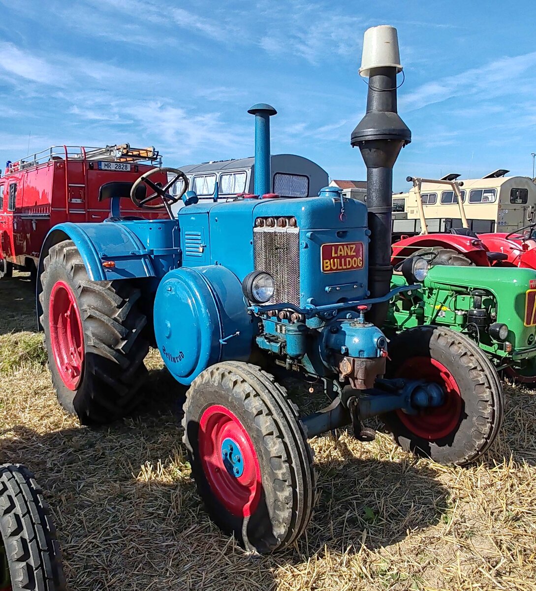 =Lanz-Bulldog, gesehen bei der Oldtimerausstellung der OLDTIMERFREUNDE OHMTAL in Dannenrod, 09-2025