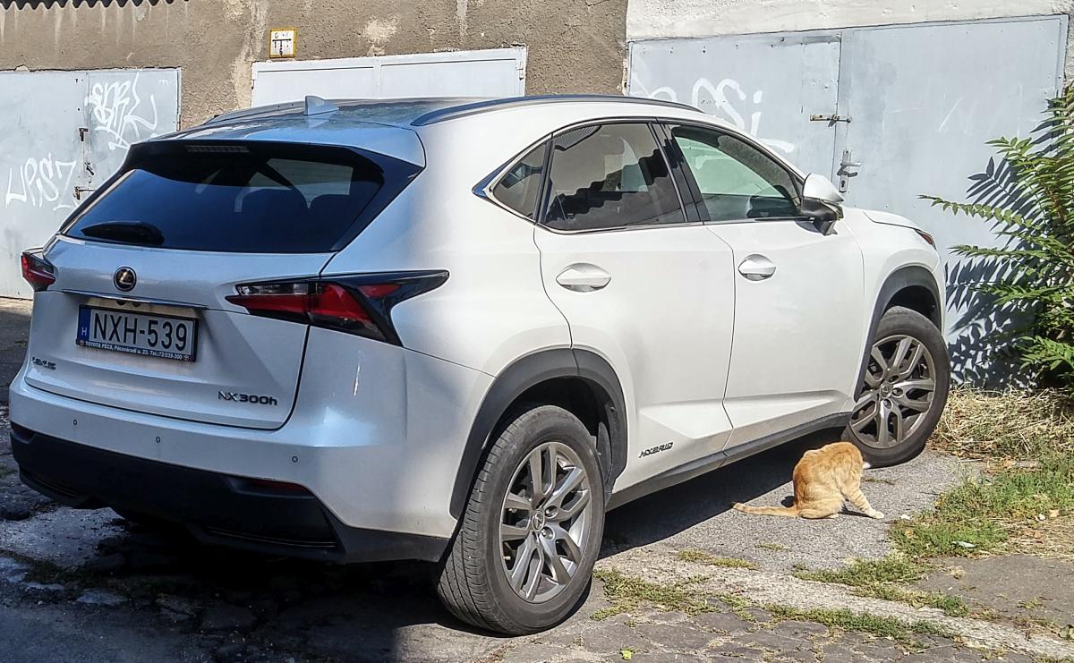 Lexus NX 300h Hybrid SUV und eine Katze daneben :). Foto: Pécs (HU), September 2019