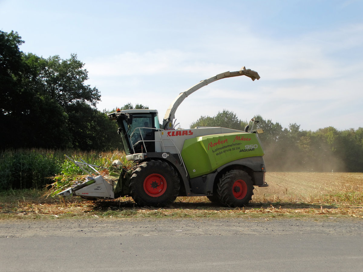 Lohnunternehmen Mäser Claas Jaguar 950 beim Mais Ernten am 15.09.16 in der Nähe von Altenstadt (Hessen)