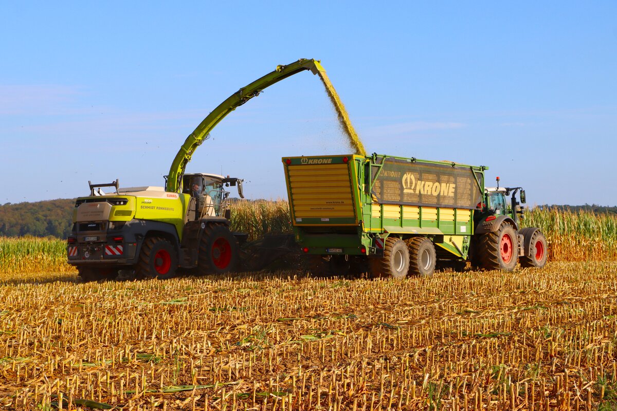 LU Schmidt Ronneburg mit dem nagelneuen Claas Jaguar 1200 und Orbis 10500 am 23.08.23 bei der Maisernte 2026 zwischen Langenselbold und Ronneburg 