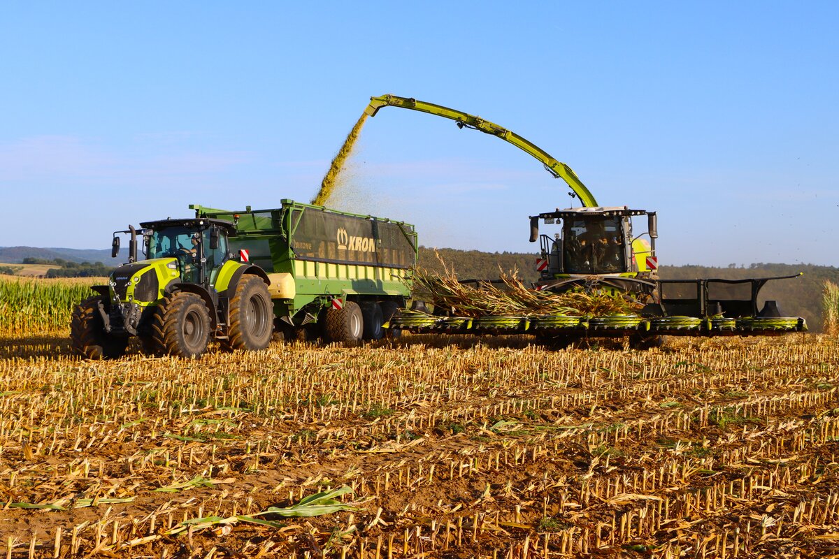 LU Schmidt Ronneburg mit dem nagelneuen Claas Jaguar 1200 und Orbis 10500 und Claas Axion 870 mit Krone H�ckselwagen am 23.08.23 bei der Maisernte 2026 zwischen Langenselbold und Ronneburg 