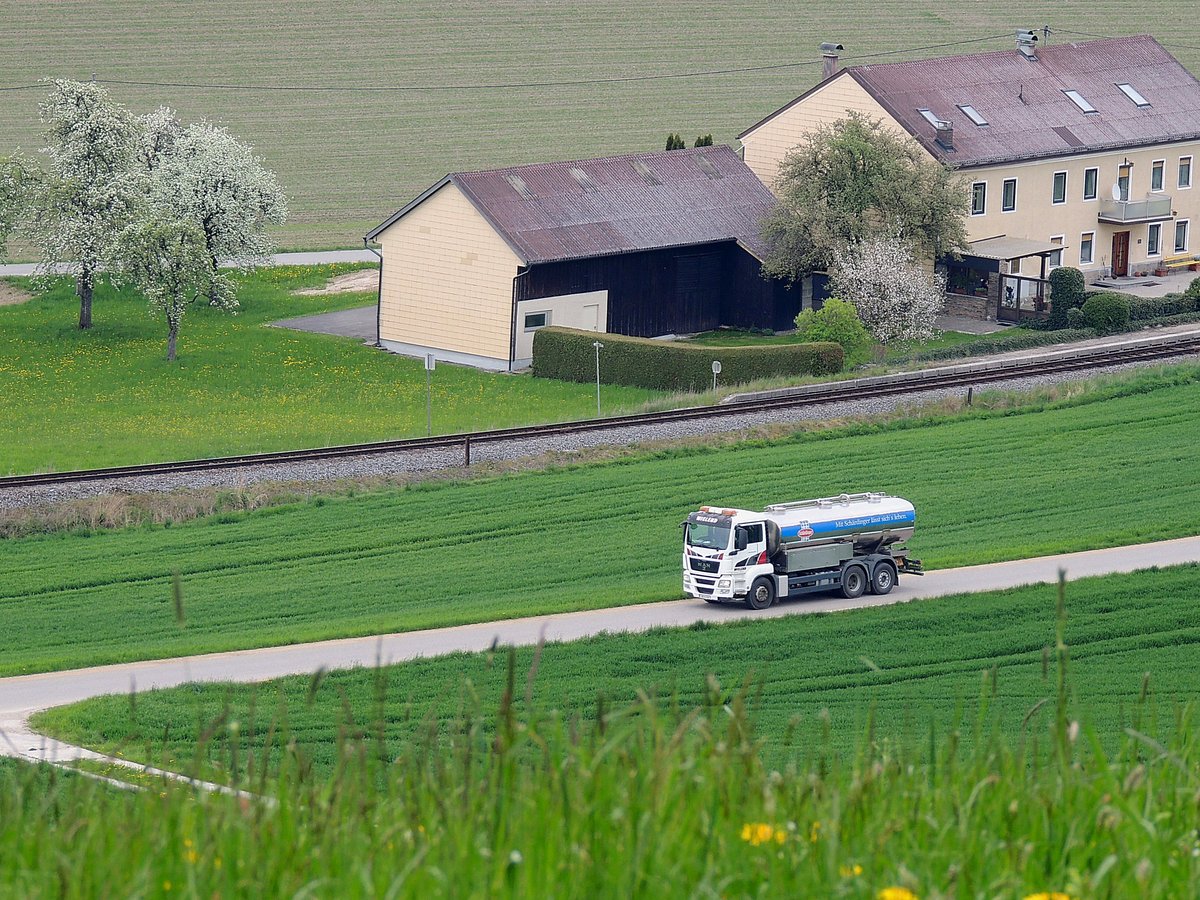 MAN TGS26.440, Milchtanklaster fährt entlang durch saftiges Grün zum nächsten Milchbauern; 160423