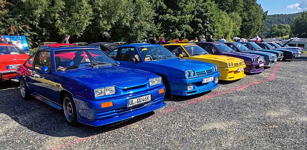 =Mantas in Reih und Glied beim 2025er Manta/Ascona-Treffen in Petersberg-Marbach