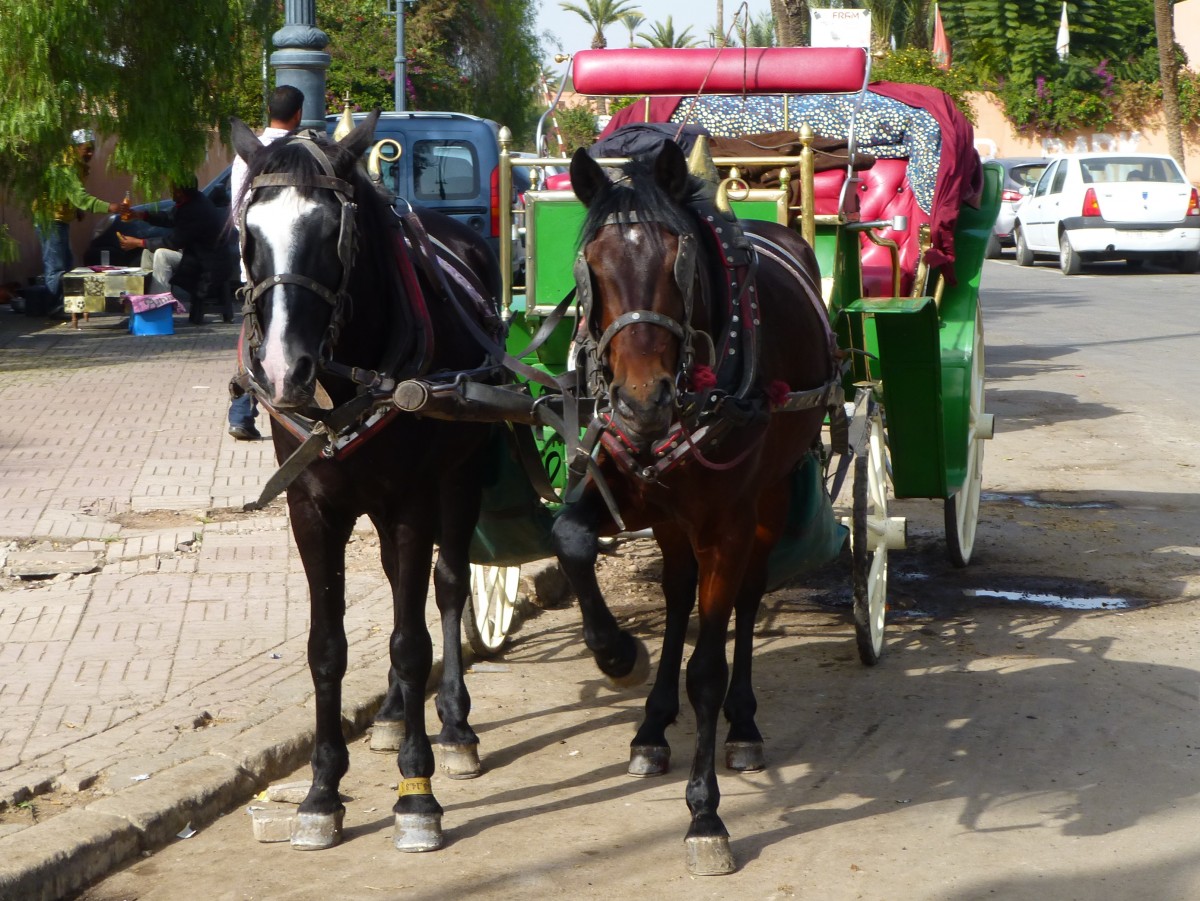 Marokko, Marrakesch, Pferdegespann bei der Mamounia. 24.12.2014