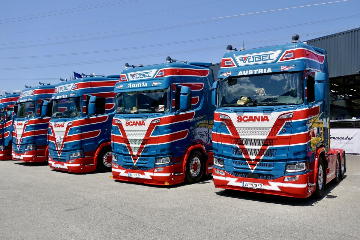 Mehrere Scania Zugmaschinen von V�gel Transport am 20.6.26 bei der L�ndle Truckshow.