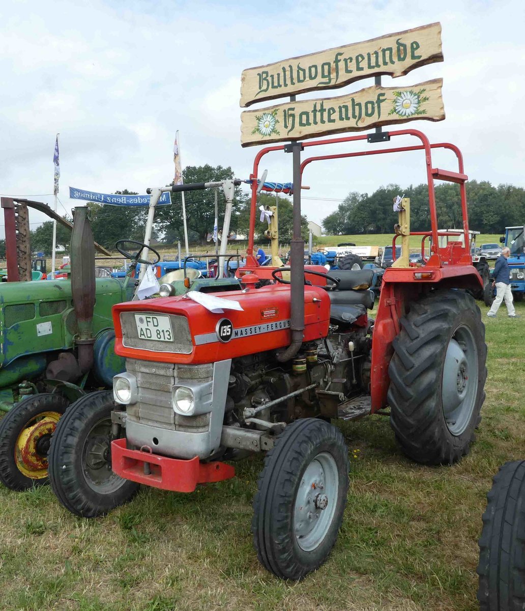 =MF 135, gesehen bei der Oldtimerausstellung in Uttrichshausen, 07-2019