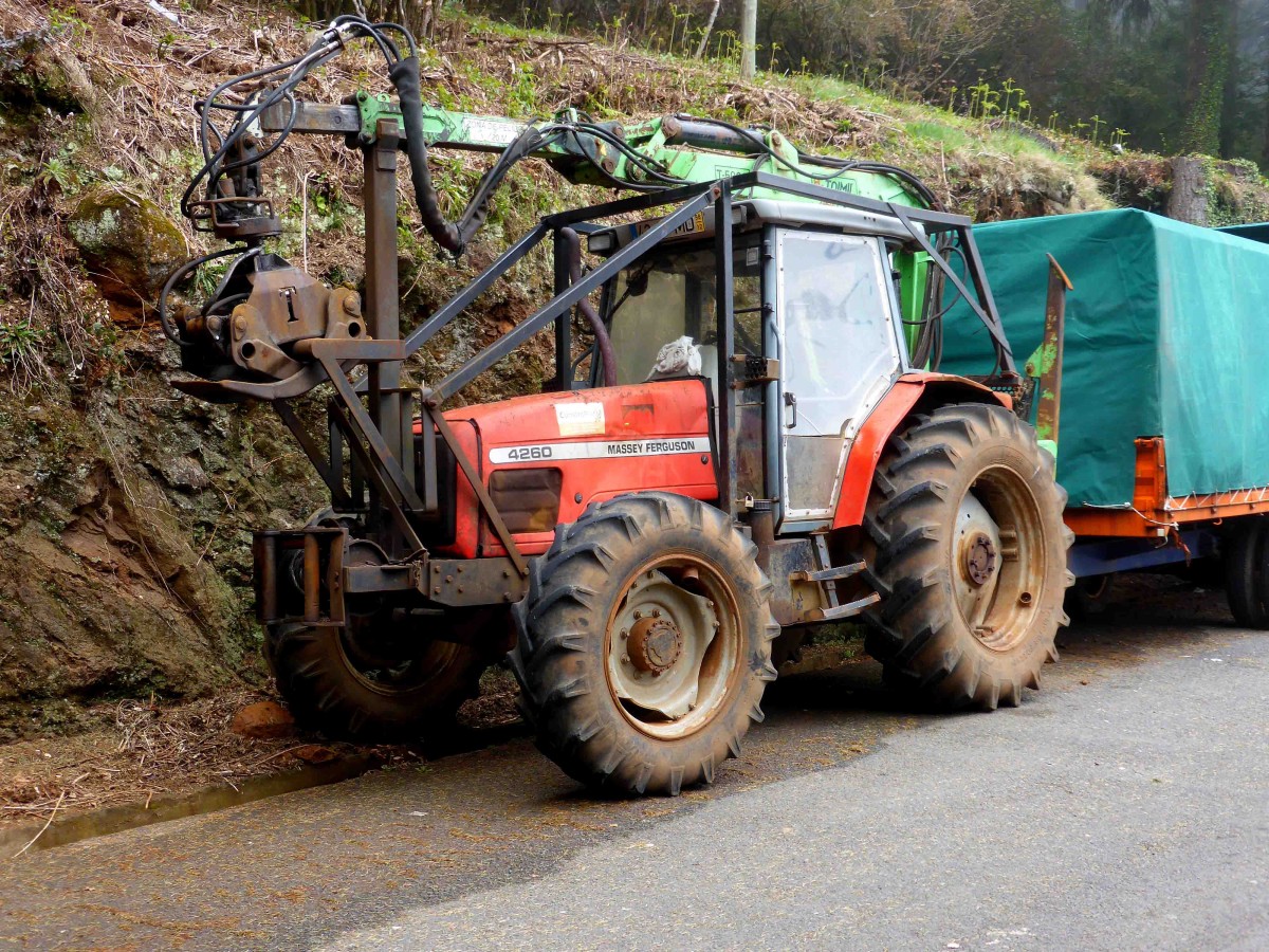 MF 4260 als Waldarbeiter auf Madeira, März 2015