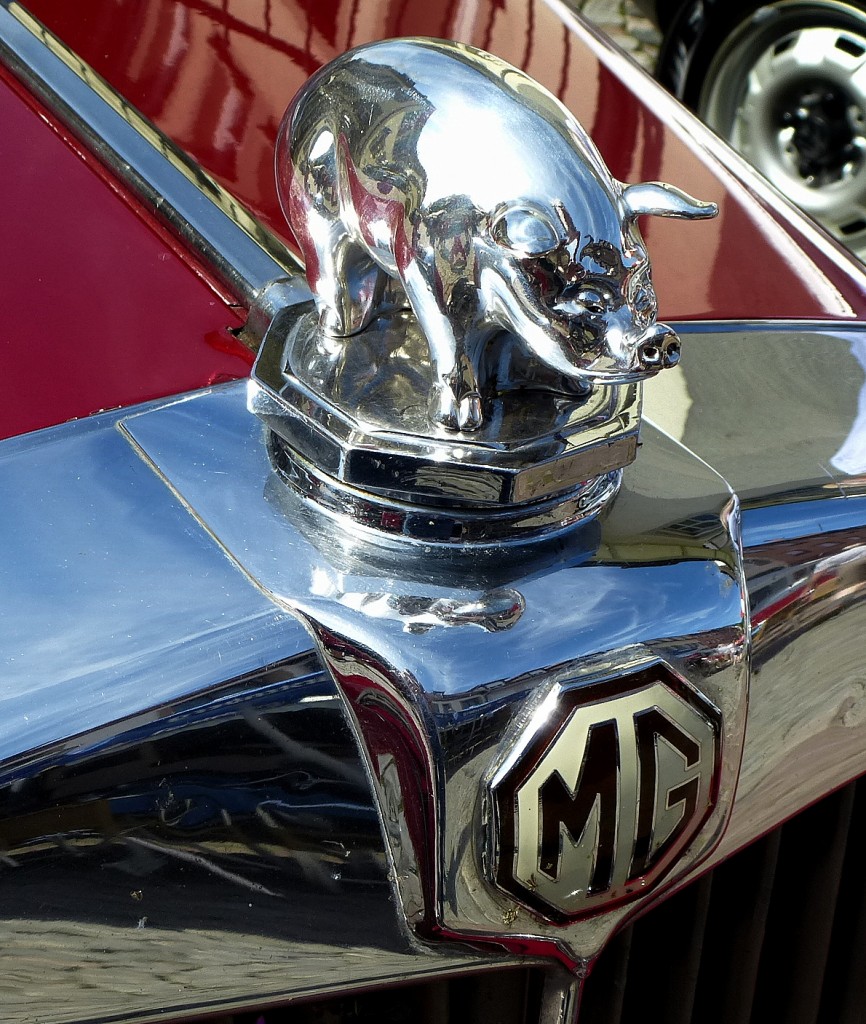 MG (Morris Garages), Logo und Khlerfigur am PKW MG TD, die britische Firma wurde 1923 gegrndet, Nov.2014