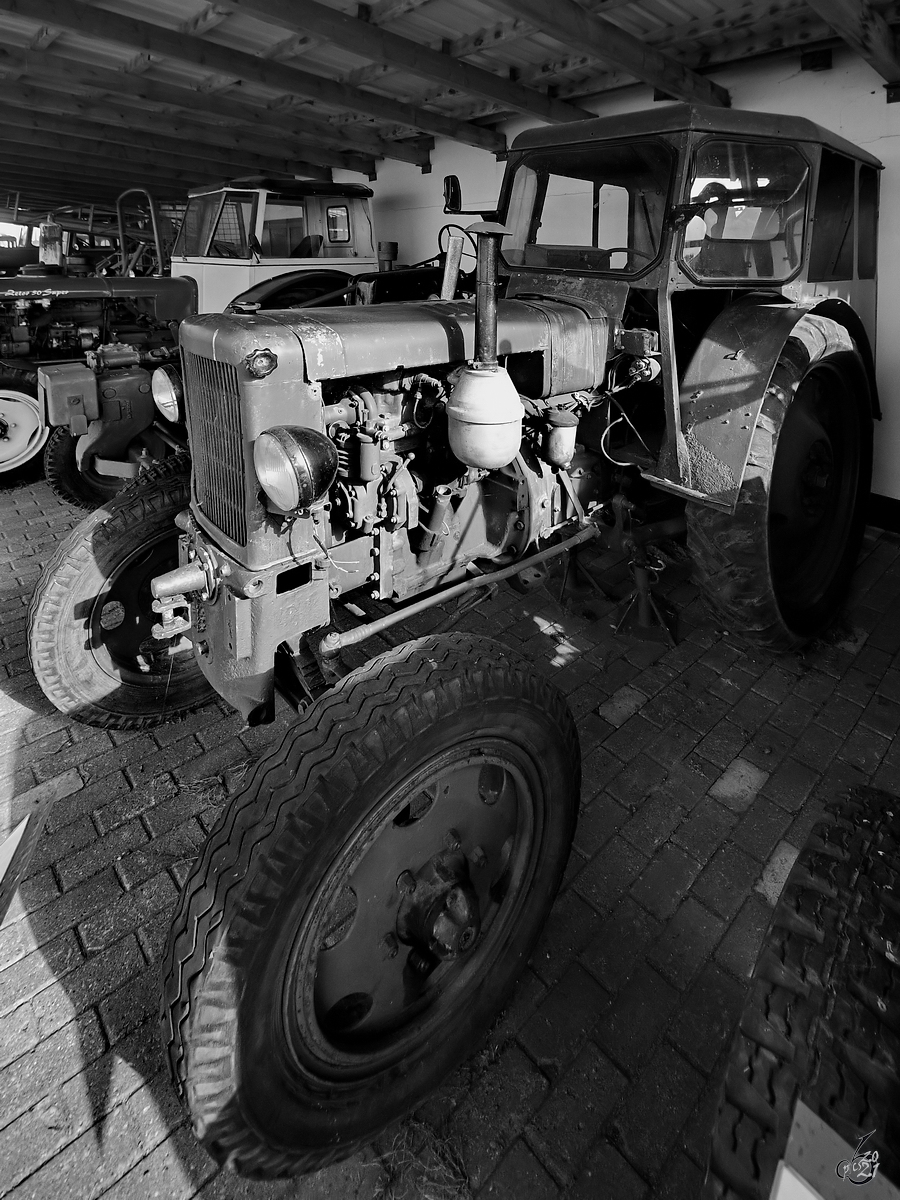 Mitte August 2021 war im DDR-Museum Dargen dieser Traktor RS04/30 zu sehen