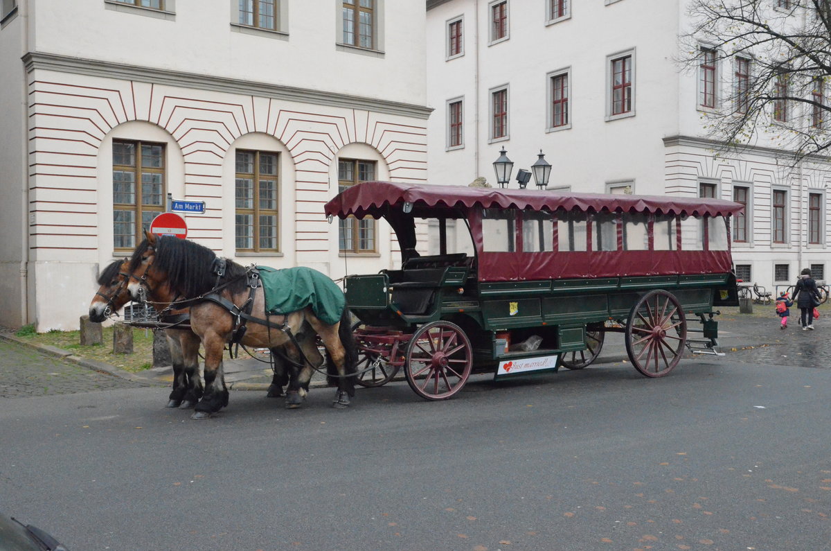 Pferdekutsche in Lüneburg wartet am Rathaus auf Stadtrundfahrtgäste, Am 24.10.17.