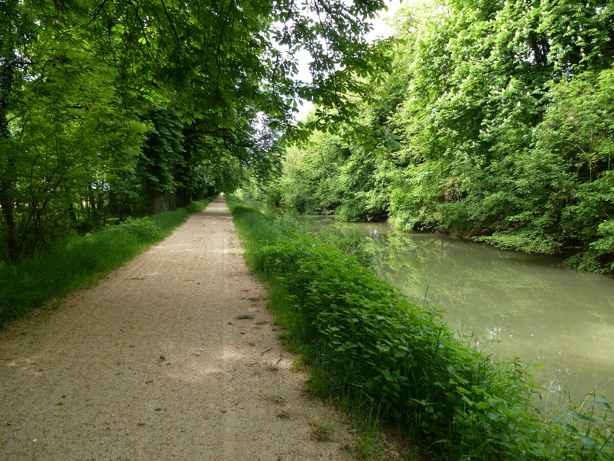 Radweg am Alten Rhein-Rhone-Kanal im Oberelsaß bei Biesheim, Mai 2015
