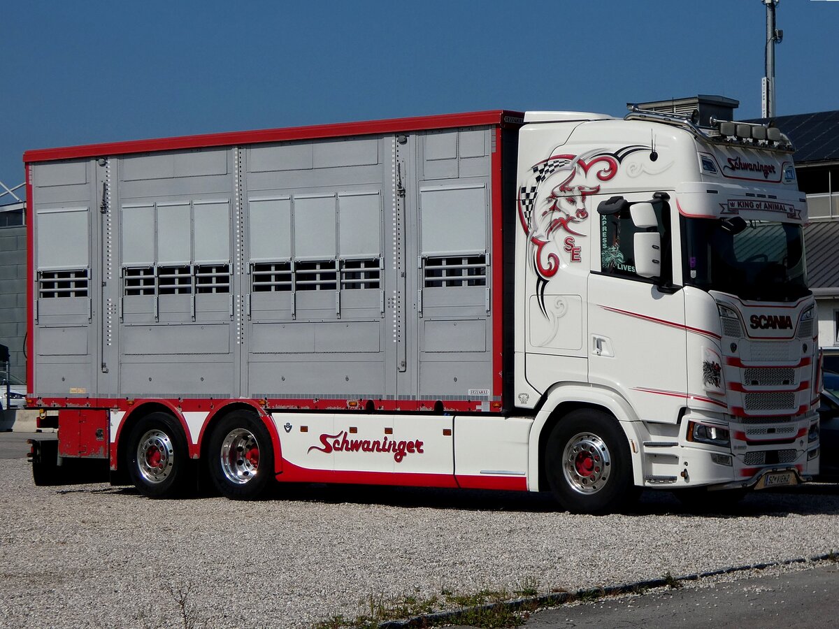SCANIA mit Aufbau zum Gro�viehtransport; 260720