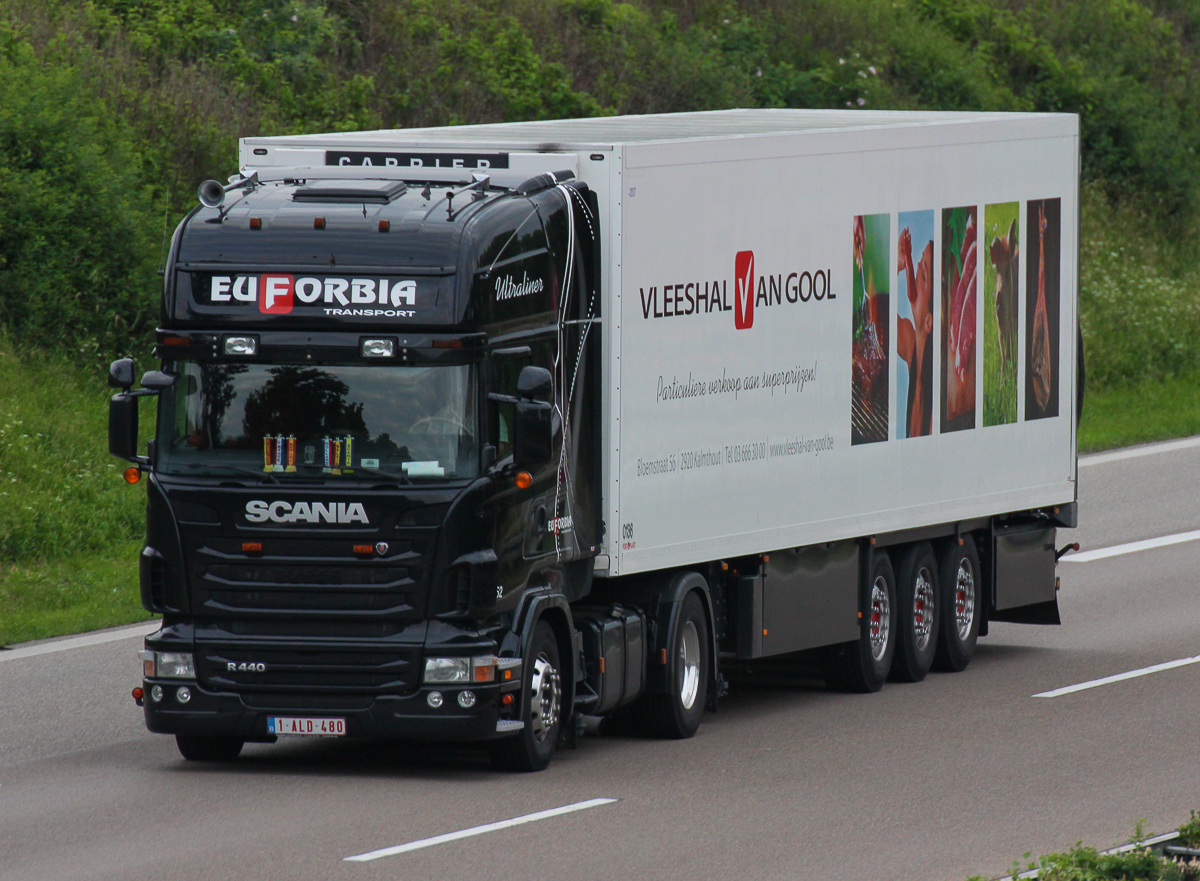 Scania R440 von Euforbia aus Belgien auf der A6 bei Wolpertshausen, 26.06.2013
