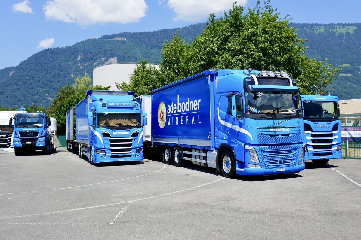 Scania und Volvo H�ngerz�ge und weitere LKW von Imobersteg am 27.6.26 beim Trucker Festival Interlaken.