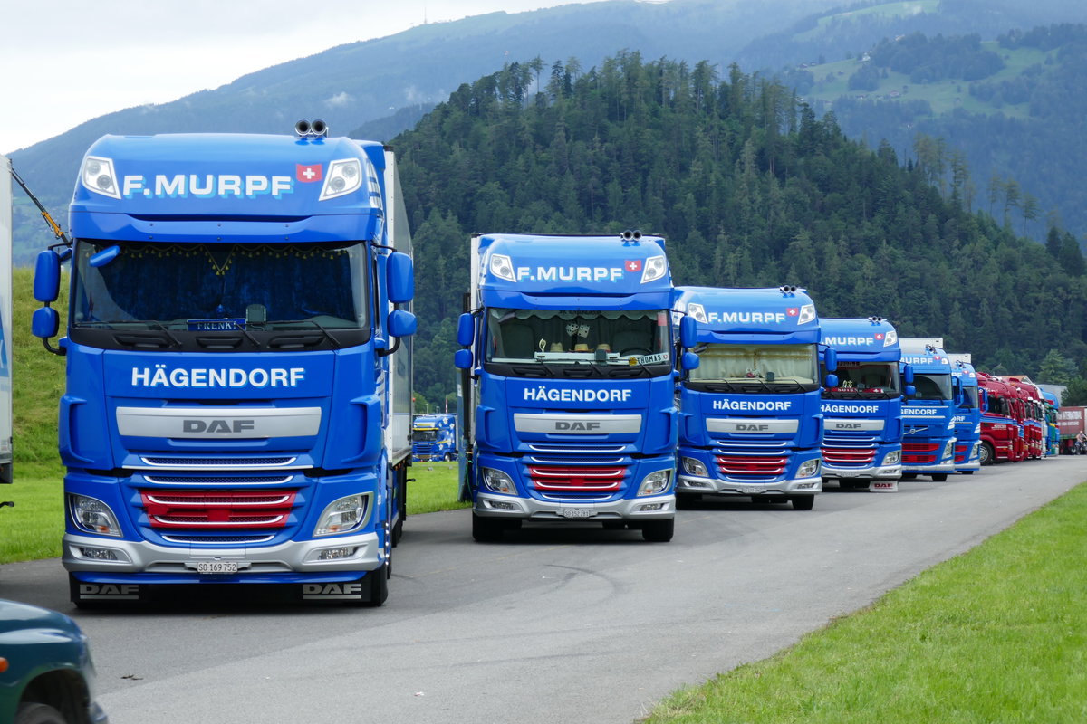 Vier DAF und zwei Volvo von Murpf am 26.6.16 beim Trucker Festival Interlaken.