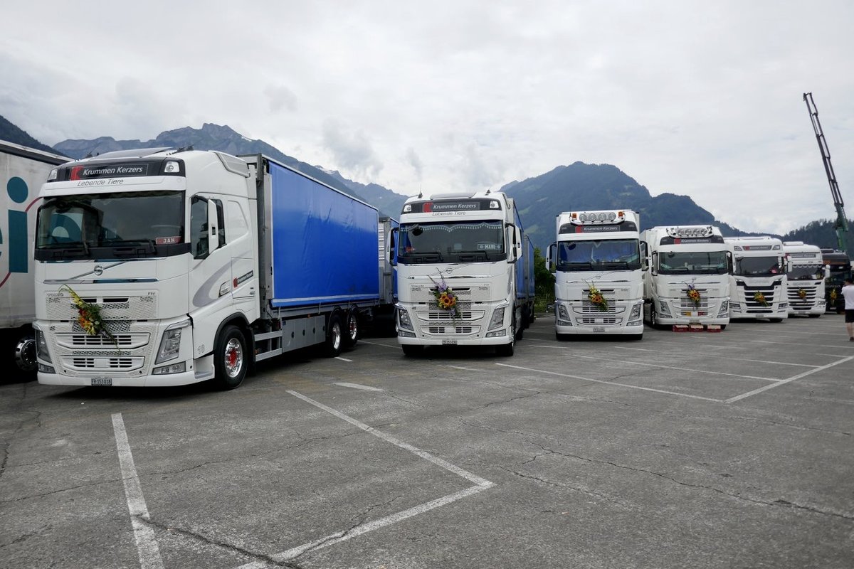 Vier Volvo und zwei Scania von Krummen Kerzers am 25.6.18 beim Trucker Festival Interlaken.