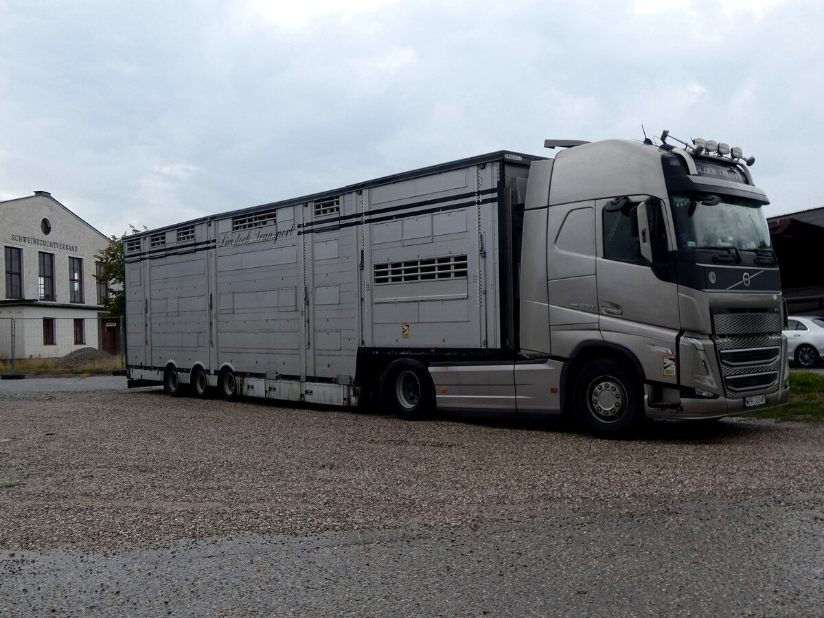 VOLVO FH 500, mit Sattelauflieger zum Transport von Gro�vieh;  260917