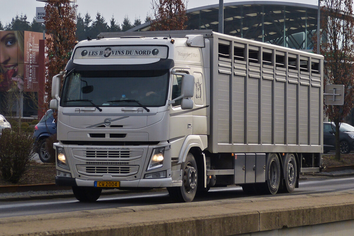 Volvo Viehtransporter, aufgenommen im Norden von Luxemburg. 02.2023