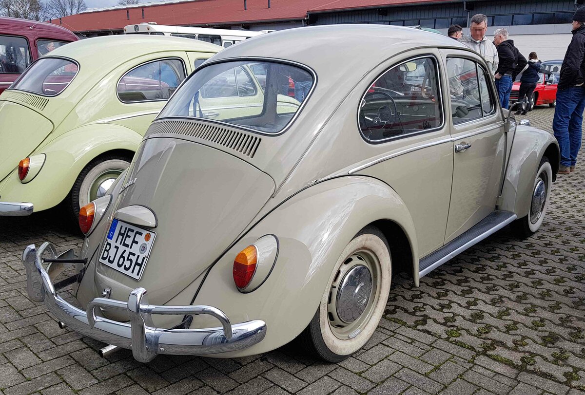 =VW Käfer, ausgestellt auf der Freifläche der Technorama Kassel im März 2023