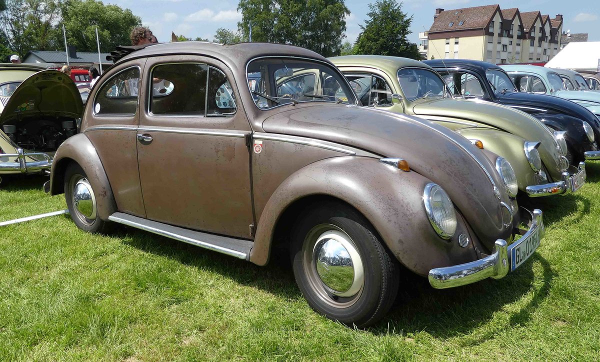 =VW Käfer ausgestellt beim Lottermann-Bullitreffen in Bad Camberg im Juni 2019